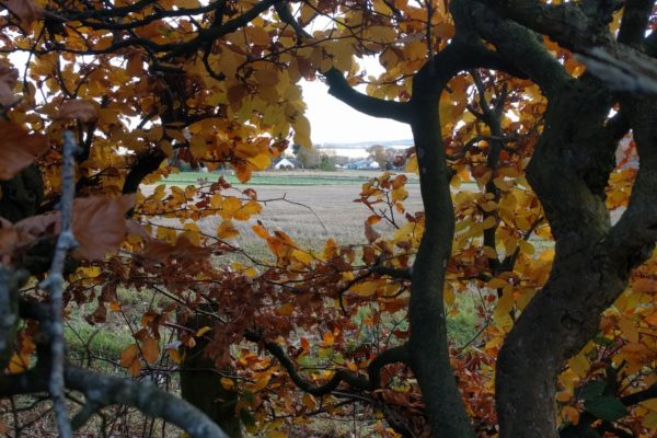 _BCT_'s tweet photo. We urge MPs to #BackTheAgBill in @HouseofCommons today &amp; vote for amendments that strengthen environment &amp; animal welfare protections, &amp; give long-term funding certainty. This is critical to tackling climate change &amp; ensuring a brighter future for food, farming, &amp; nature together https://t.co/BtgwnQZaHx