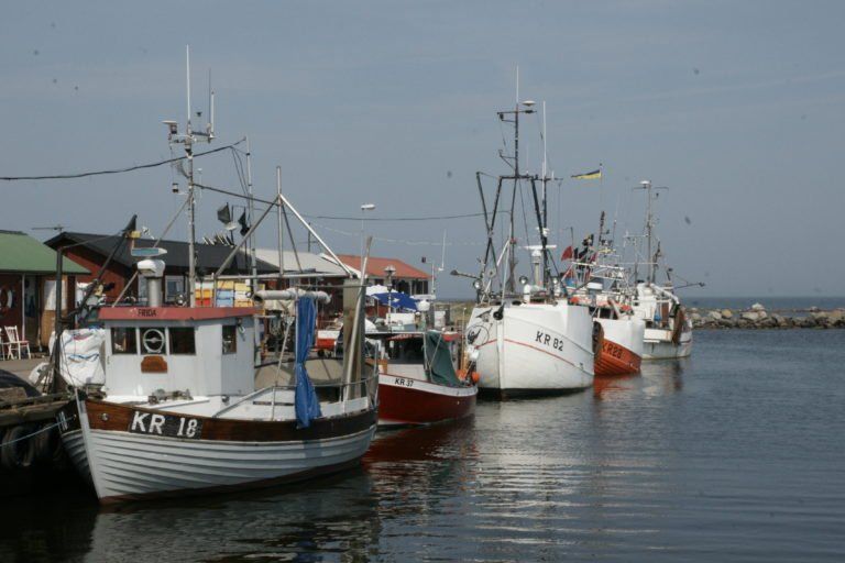 WWFBaltic's tweet photo. #DYK that fishing is one of the most significant drivers of declines in ocean wildlife? Find out what we are doing to change business as usual in #fisheries in the Baltic Sea: https://t.co/HjSGgFhvgx https://t.co/omRxOgEXct