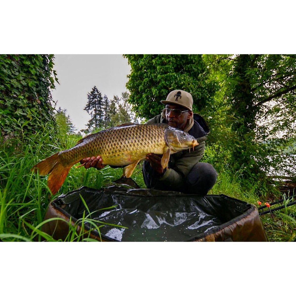 Alien Carp NFT-project tweet media