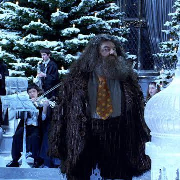 Olympe Maxime And Hagrid