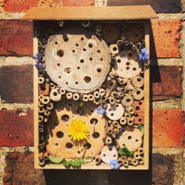 Open Air Labs (OPAL) tweet media