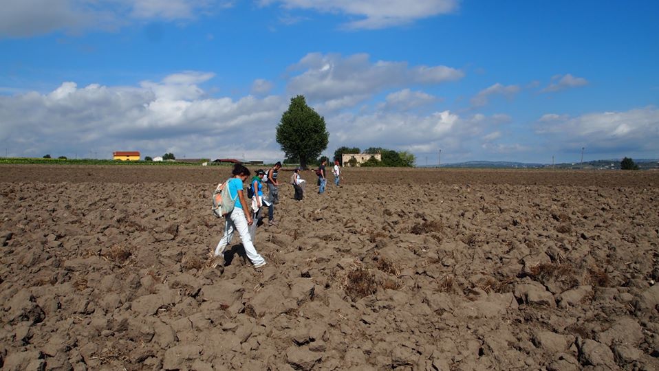 aal_project's tweet photo. ๐ท ๐กโฐAlla giusta #distanza, ma #uniti per un unico risultato, come nella #ricognizione archeologica!
#distantimauniti #AALProject #InsiemeMW https://t.co/VbBhNdVfdN