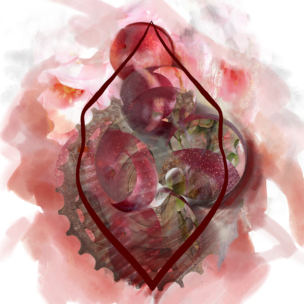 SarahHellerMW's tweet photo. To support #Italianwine through a difficult time  I’ve created a series of #VisualTastingNotes of 6 icon wines, 1 limited-edition giclée of each will be included in Perfect Provenance lots at #GelardiniRomani Spring Auction (5/17) : [https://t.co/D9SQzx5Ahp] #italianwine. https://t.co/FI3E3UTj8r