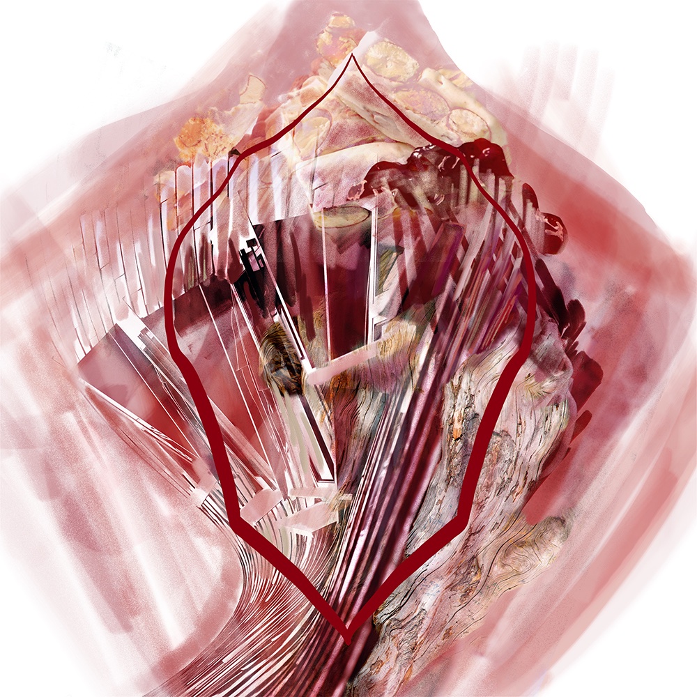 To support #Italianwine through a difficult time  I’ve created a series of #VisualTastingNotes of 6 icon wines, 1 limited-edition giclée of each will be included in Perfect Provenance lots at #GelardiniRomani Spring Auction (5/17) : [finarte.it/asta/?lang=en&…] #italianwine.