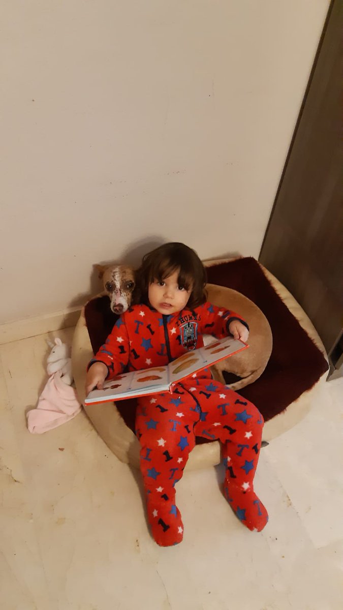 kissavet's tweet photo. ¿A los hijos de los veterinarios suelen gustarles los animales? No les queda más remedio 🤷‍♂️
#niñosyperros #niños #perros https://t.co/HzQGEFULNG