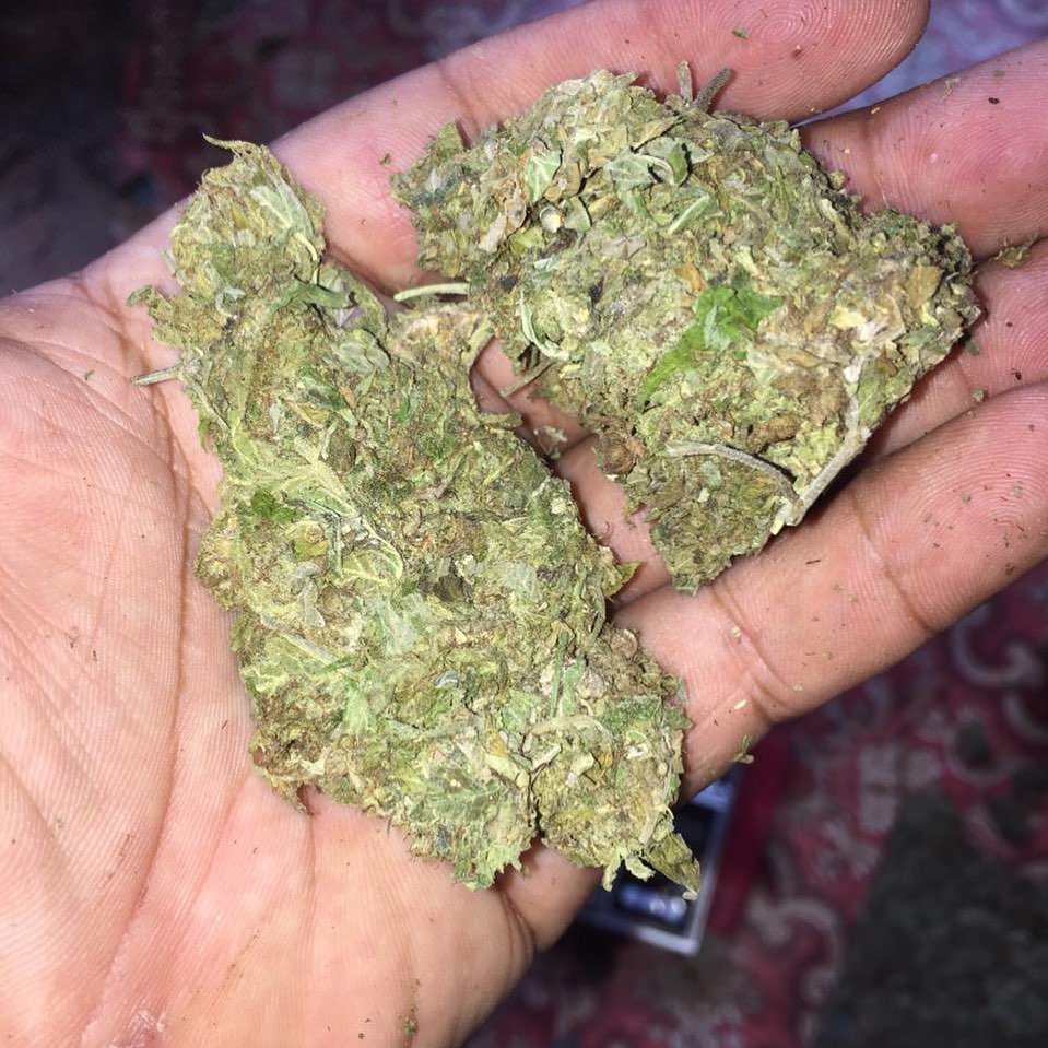 WeedStore13's tweet photo. 🌿 livraison en toute discrétion 🌿
                          👇🇫🇷
🔥 WhatsApp //+33753204019
🔥 Wickr // weedpaname 33
🔥 Snap // weedpaname_thug 123

#lyon #lyonnaise #lyoncity #onlylyon #lyonnais #visitlafrance #onlylyon #rhonealpes #rhonealpestourisme #couple #amoureux #Tours https://t.co/ZgoZsZAQhm
