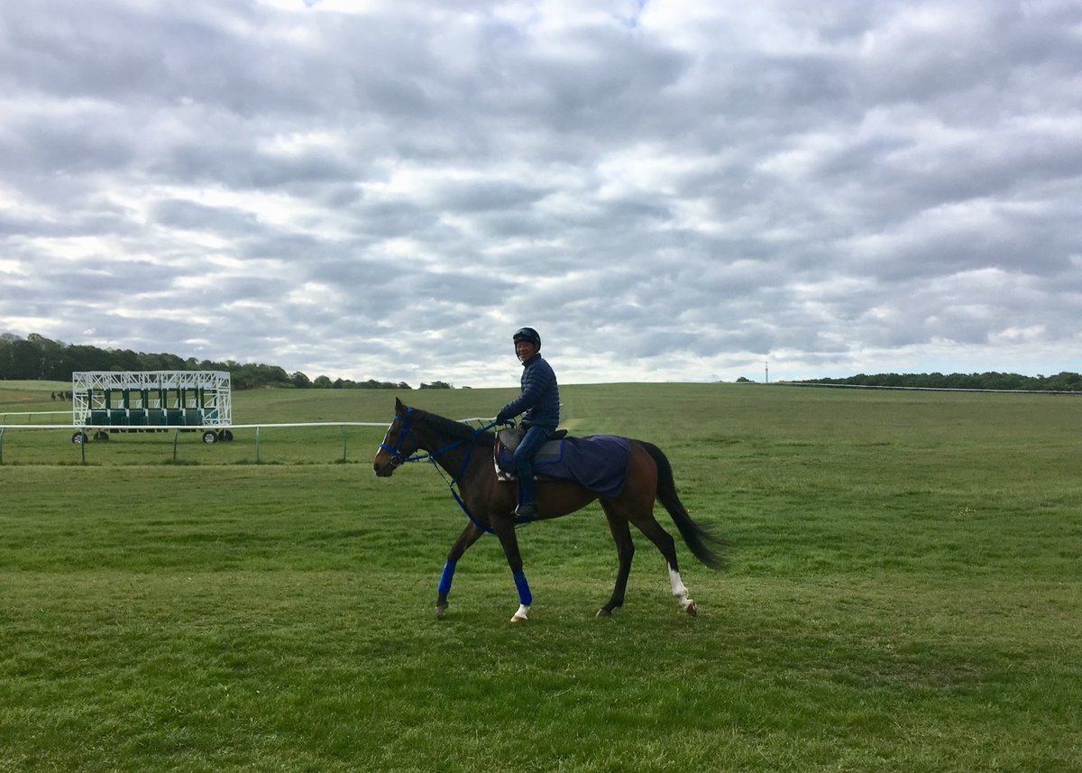 JohnWathenBerry's tweet photo. Not as cold as the previous night @NewmarketGallop but we don’t have the sun &amp; it’s still cold for the middle of May. Currently 7 degrees; forecast high 11 #Dereham #DasKapital #SacredSprite #Deirdre #SocialDistancing https://t.co/JJlm6LiG4E