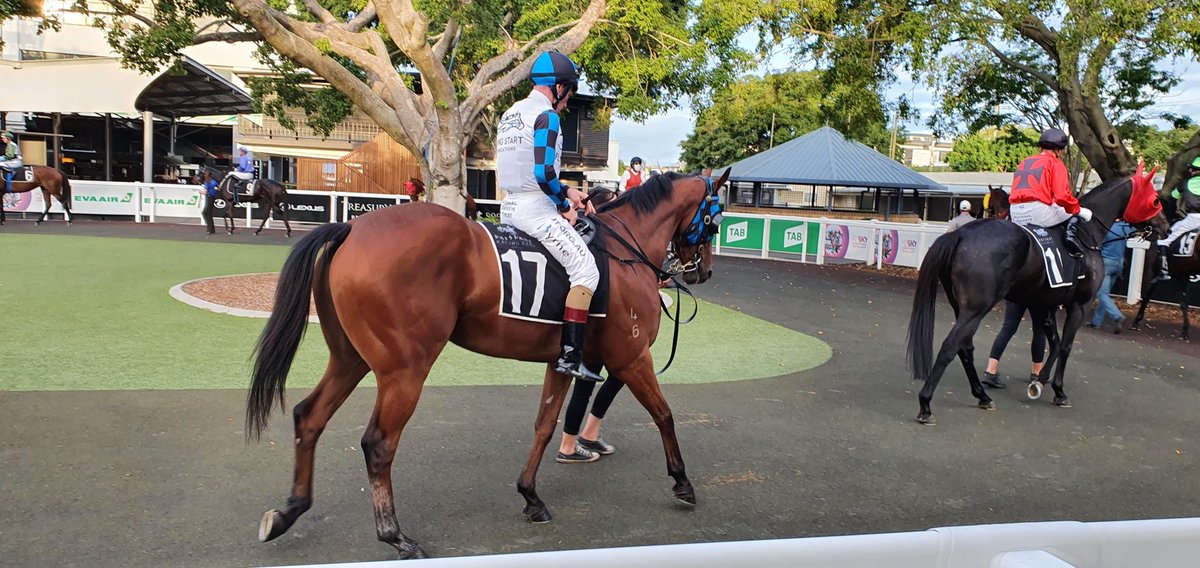 Ourhorsesfly's tweet photo. 💥 💥 Prinny’s Success makes it 2 winners for FSS in the past 5 days👏👏👏 Congratulations to all connections. #gomick #robheathcoteracing #jimbyrne #joinourwinningteam https://t.co/oTAZH02Fp8