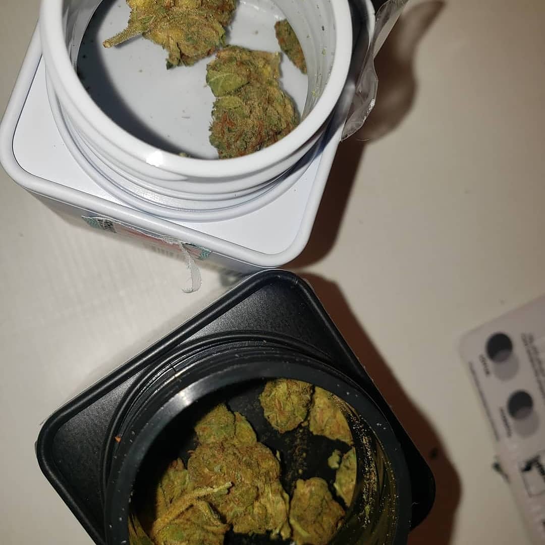 WeedStore13's tweet photo. 🌿 livraison en toute discrétion 🌿
                          👇🇫🇷
🔥 WhatsApp //+33753204019
🔥 Wickr // weedpaname 33
🔥 Snap // weedpaname_thug 123

#igerstoulouse #toulousefrance #visiteztoulouse #toulousestreetart #toulousefr #toulousetourisme #Toulouse #toulouseart https://t.co/iJa7L6tBxJ