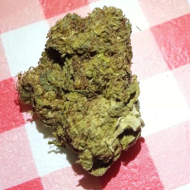WeedStore13's tweet photo. 🌿 livraison en toute discrétion 🌿
                          👇🇫🇷
🔥 WhatsApp //+33753204019
🔥 Wickr // weedpaname 33
🔥 Snap // weedpaname_thug 123

#igerstoulouse #toulousefrance #visiteztoulouse #toulousestreetart #toulousefr #toulousetourisme #Toulouse #toulouseart https://t.co/iJa7L6tBxJ