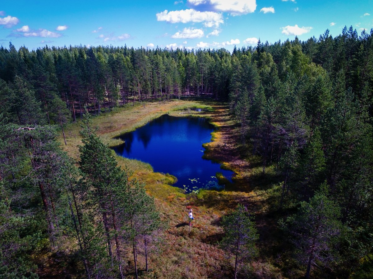 GoodLifeMaps's tweet photo. 🧠 Don’t let your brain decide where you should go 🧭

Your brain is a problem solver. Life is not a problem. It's meant to be experienced and enjoyed. Pick the ideas that inspire, even if it's swamp camping, and let your brain plan how to get you there.😉
https://t.co/GWchCcIdAs https://t.co/iV9nrg8Ddb