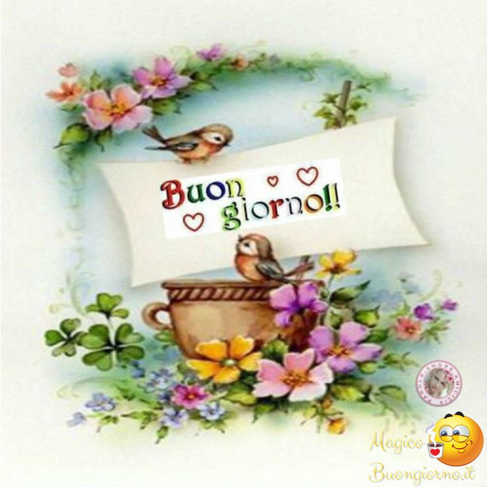 Illustrazione vettoriale di un gallo che: immagine vettoriale stock  (royalty free) 2518808035 | Shutterstock, image size:1000x1000