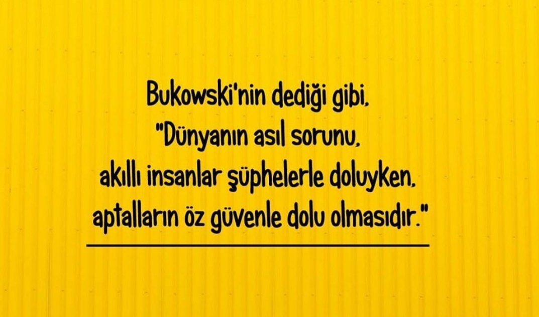 Sorgulama kabiliyeti,yeteneği olmayan insandan özgüven bekleyemezsiniz. Onlar sadece insani bedenlerinin içerisinde, kalpleri attığı sürece günlük öğrenmişliklerini uygularlar. Hepsi bu kadar...🤔🙈🙊🙉
