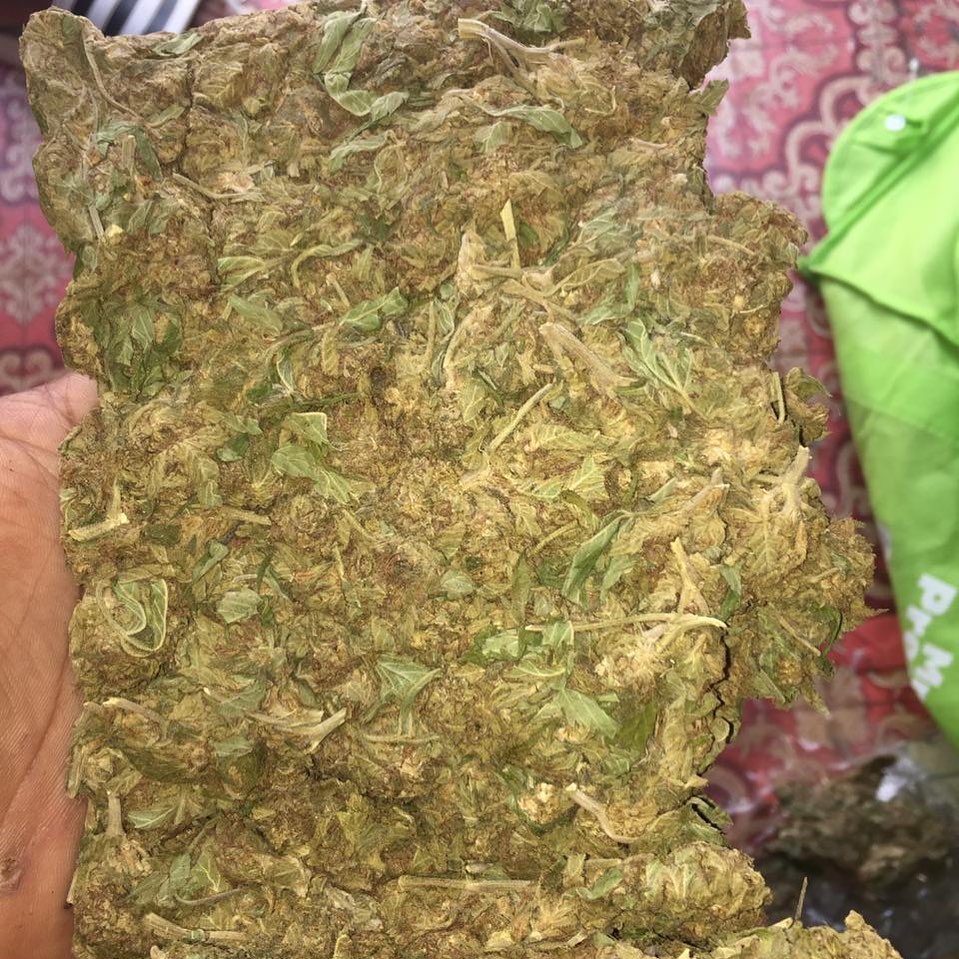 WeedStore13's tweet photo. 🌿 livraison en toute discrétion 🌿
                          👇🇫🇷
🔥 WhatsApp //+33753204019
🔥 Wickr // weedpaname 33
🔥 Snap // weedpaname_thug 123

#paris17eme #paris13ème #paris11 #paris10eme #paris18eme #paris15eme #paris12  #paris14 #Paris20 #paris1 #Chantilly #Argenteuil https://t.co/uI45WT696I