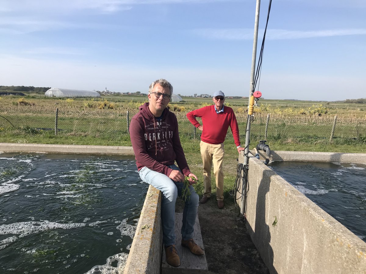 SaltFarmFoundat's tweet photo. Vorige week kregen we bezoek van Jasper Dalhuisen Ministerie van Landbouw, Natuur en Voedselkwaliteit. Hij was erg uitgesproken over het belang dat de boeren op Bonaire hebben bij het verbouwen van hun eigen voedselproducten. #ziltelandbouw #bonaire #salineagriculture https://t.co/vhE88XOVuR