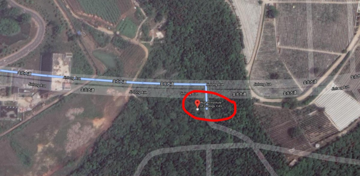 NapoleonAF7's tweet photo. Benarkah virus itu dibuat? and I don't give a shit, awal mula virus itu muncul berada di China. Yang jadi pertanyaan saya kenapa tempat Wuhan Institute of Virology tidak akurat dengan Google Maps, apa ada yang disembunyikan?
COVID-19 #VirusCorona #COVID19 https://t.co/xUmK96xNEw