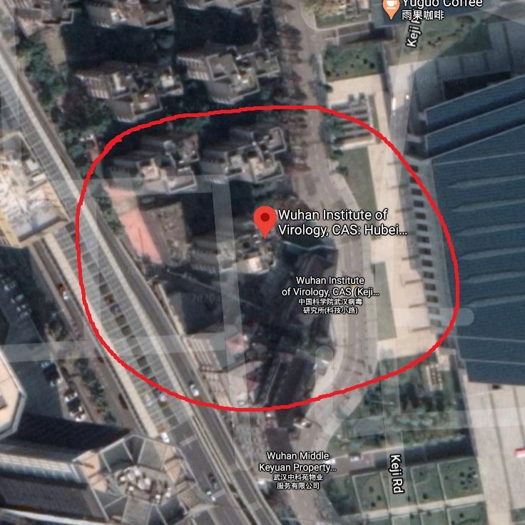NapoleonAF7's tweet photo. Benarkah virus itu dibuat? and I don't give a shit, awal mula virus itu muncul berada di China. Yang jadi pertanyaan saya kenapa tempat Wuhan Institute of Virology tidak akurat dengan Google Maps, apa ada yang disembunyikan?
COVID-19 #VirusCorona #COVID19 https://t.co/xUmK96xNEw