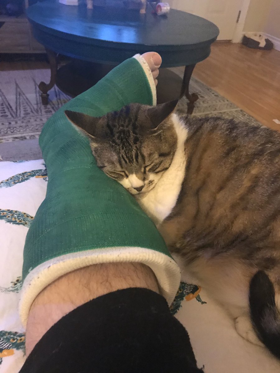 Evie and <a href="/threetoebay12/">Zach Adams</a> are doing the important work. Things are well at the fortress, all things considered!