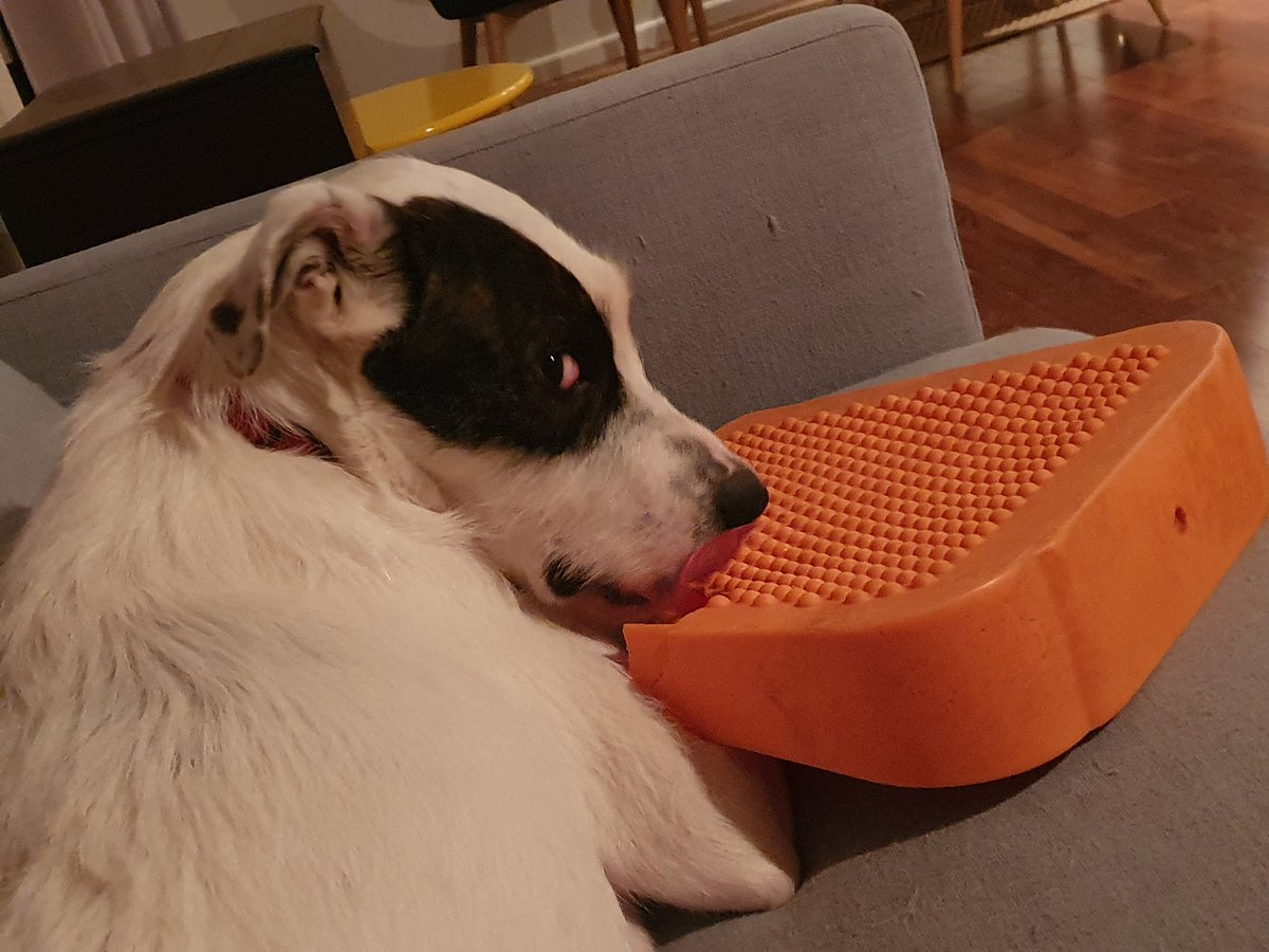 When you no longer need you wedge cushion - makes a great dog toy - innovative recycling #petsofuc