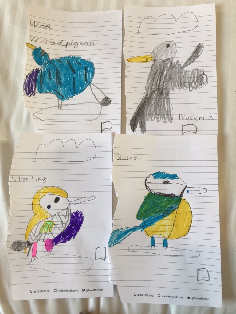 MrsArcticride's tweet photo. @Y1Brunton Islay decided to draw all the birds and add little boxes so we can tick them off when we see them 👀 🐦 🦅 #1SL #MrsLee 💝 https://t.co/wINfnVogGl