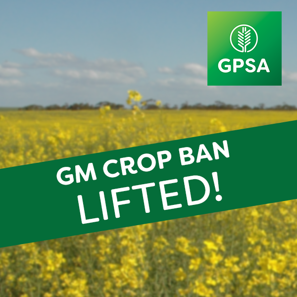 GrainProducerSA's tweet photo. BREAKING: SA's GM crop ban has been LIFTED! https://t.co/0vsnqgz1Ac