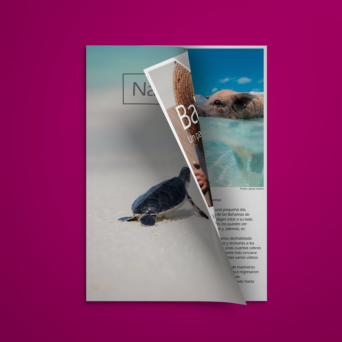 heptaprint's tweet photo. No te quedes atrás, ahora dispones de tiempo suficiente para preparar con mimo tus #catálogos y #revistas. 
https://t.co/rOJ3PVvylt https://t.co/hqC8uHdL2E