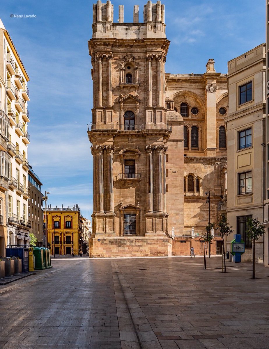 ¡¡ Preciosa 😍 !!!! 
¡ #BuenosDias desde la calle Molina Lario frente a nuestra #manquita !!!
#malagaconacento 
📸 <a href="/nanyfotografia/">Lechuza inquieta (Nany Lavado)</a>