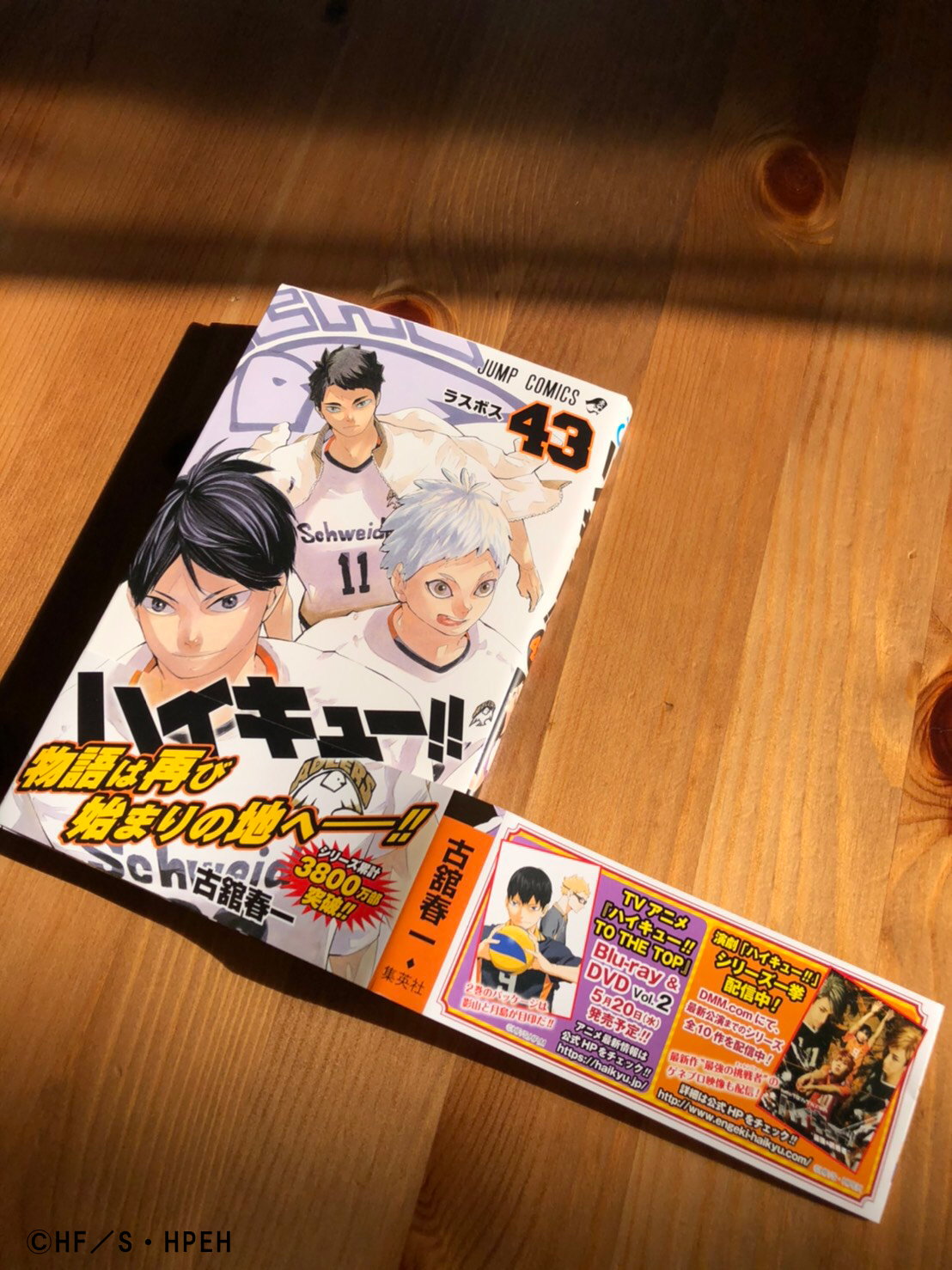 ハイキュー全巻＋43巻(5月13日発売)