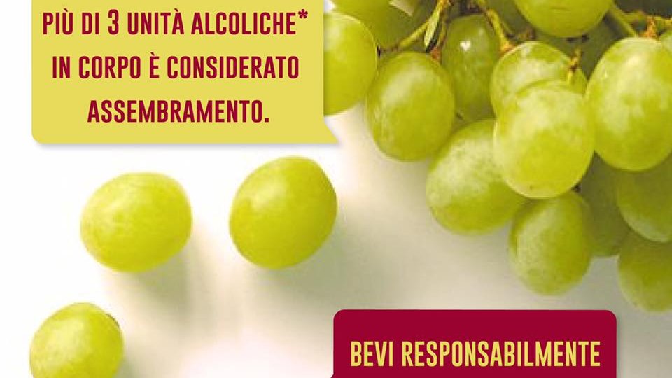 Veronica Mammì tweet media