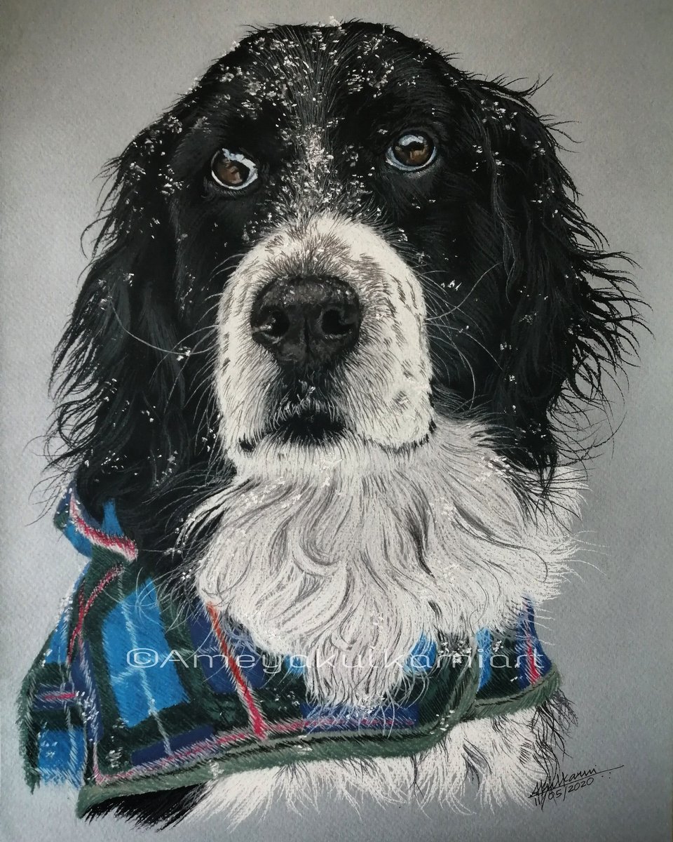 ameyark21's tweet photo. New Pet portrait ποΈπ¨
Pastel pencils on pastel paper.
IG : ameyakulkarniart
DM me if you want to have your beautiful pet sketched.
#pet #petpotrait #petportraitartist #petart #pets #sketch #derwent #pastelpencils #pastelart #carandache #softpastels #custompotrait #drawing https://t.co/TD2ltV6dqO