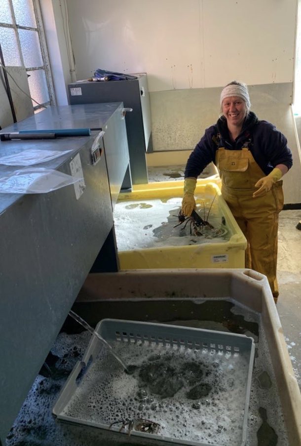 Homarium Uk Ltd tweet media