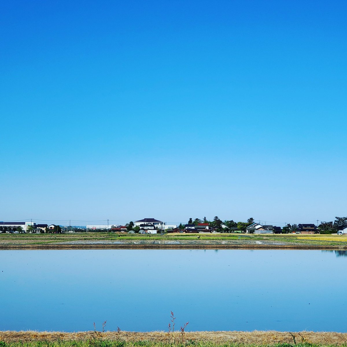 出雲平野