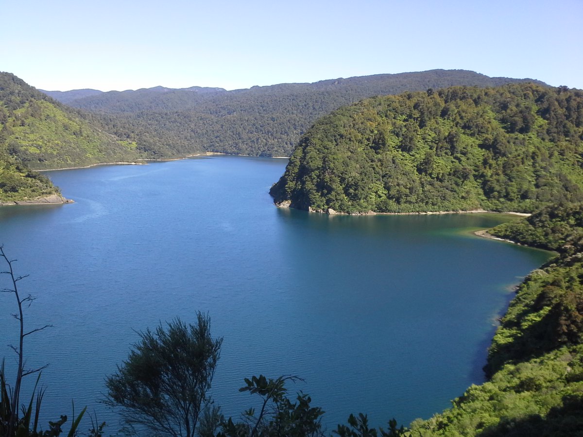 EasternFishGame's tweet photo. Great news! Te Urewera re-opens tomorrow to mahuhiri (visitors), with some special level 2 conditions applying.
See here for details: https://t.co/nwFRgliGE4 https://t.co/ROl3WWn34J