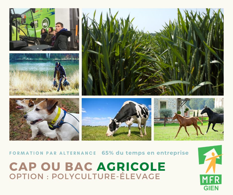 Si toi aussi tu veux travailler dans le milieu #agricole, ou de la #chasse, auprès des #animaux, des #chevaux, dans les #céréales ou avec du matériel agricole, la <a href="/MFRGien/">MFR Gien 📚</a> est faite pour toi ! 👊🏼
Viens découvrir nos formations, lors de nos prochaines portes ouvertes du 6 juin.