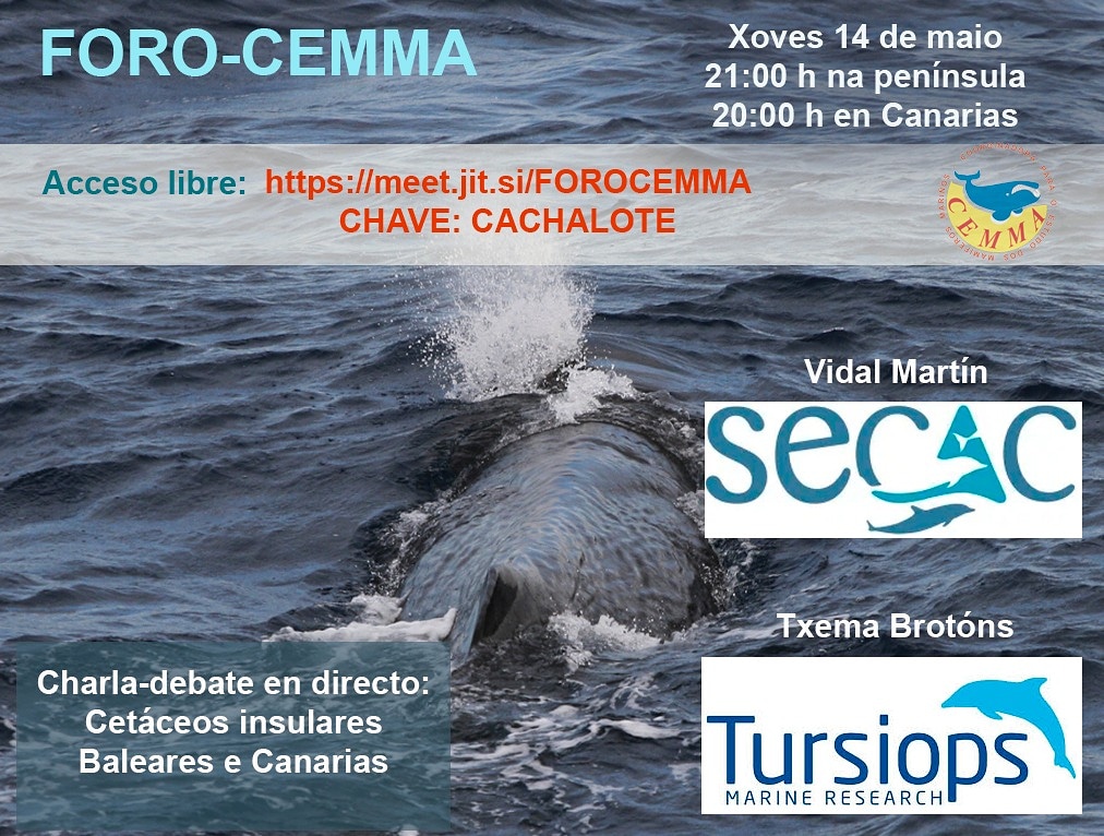 Novo FORO-CEMMA
Estaremos con <a href="/secac_cetaceos/">secac_cetaceos</a> e a Asociación Tursiops falando de #Cetáceos Insulares. Esperámosvos ás 21h (20h en Canarias)!