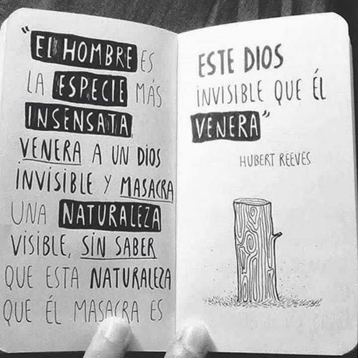 Ecogranjero's tweet photo. Cuanta sabiduria y verdad... https://t.co/4Z7hNq1KbQ