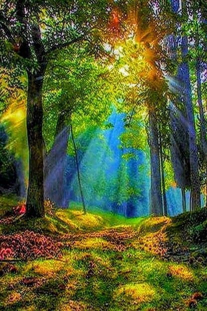 ninscrystal's tweet photo. "In the flush of Love's Light; We dare be brave. And suddenly we see that Love costs all we are, and will ever be. Yet it is only Love which sets us free."

  ~Maya Angelou 

 🕊#WednesdayWisdom #StaySafe 💚🧡💙 https://t.co/d6lnpjl33T
