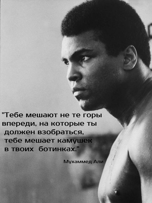 #мудрость #Мухаммед_Али