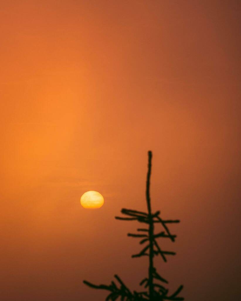 robertbagio's tweet photo. Západ slunce v Krušných horách🙂
.
.
.

#sunset #mountains #naturephotography #nature #beauty_of_czechia #sun #like4like #instagood #forest #priroda #fotimecesko #landscape #ceskakrajina #czechrepublic #czech #sonya7iii #alpharoamers #sonyalpha #rsa_nature #igerscz #mapy_cz #… https://t.co/q52VI0Gwq1