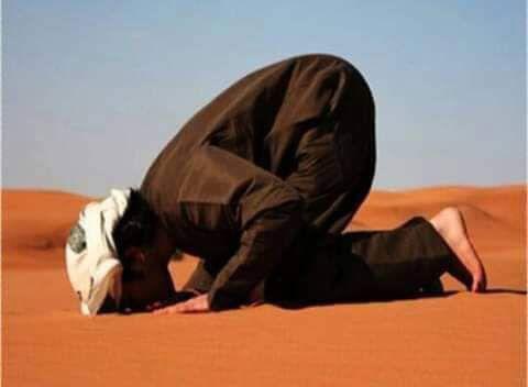 "حدّث الله في سجودك عن كل شيء..ثم ارفع راسك للحياة بكامل قوتك