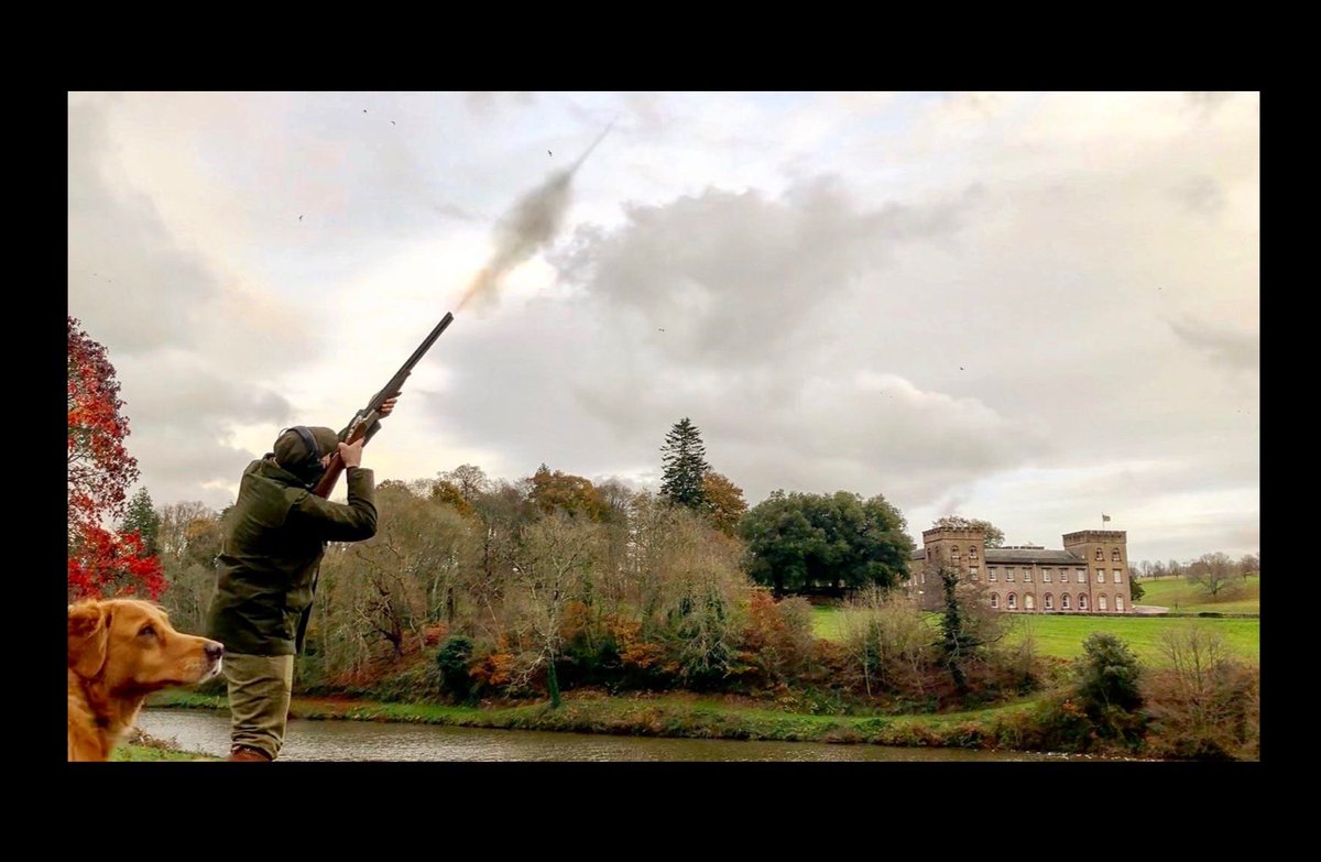Looking back at one of my favourite photographs from last season. Looking forward to a fantastic full season 2020/2021. #pheasantshooting #partridgeshooting #gameshooting #drivenshooting #gwctdevon #duckshooting #westcountry #devon #ugbrookepark