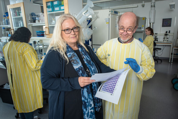 liu_universitet's tweet photo. LiU scientists are working intensely to develop two different analysis methods for the immune response that follows infection by the SARS-CoV-2 virus, which causes #covid_19. 
https://t.co/AtEdZcAxGg
@DanielAili @LabMolMat @regionost #coronavirus https://t.co/lT4zK79ZsU
