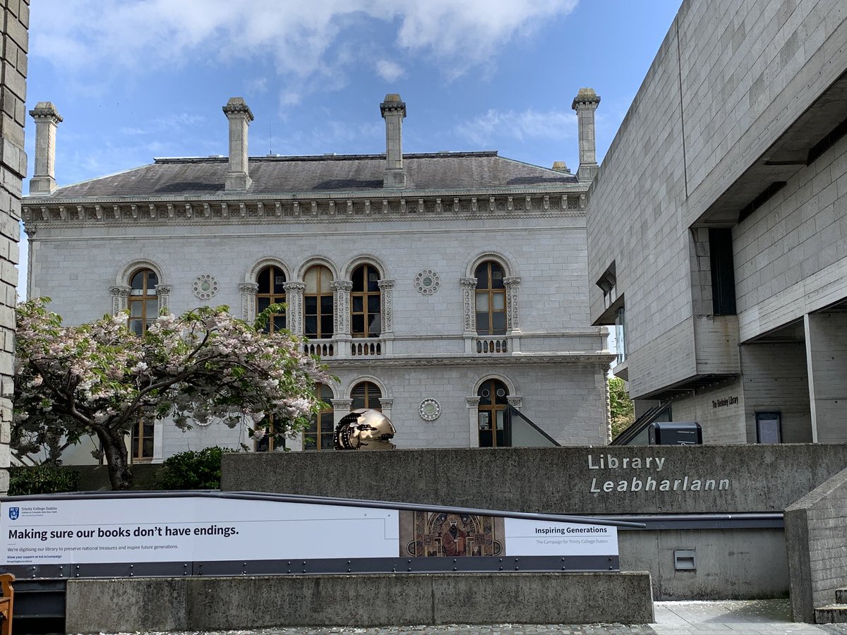 Gisèle Scanlon tweet media