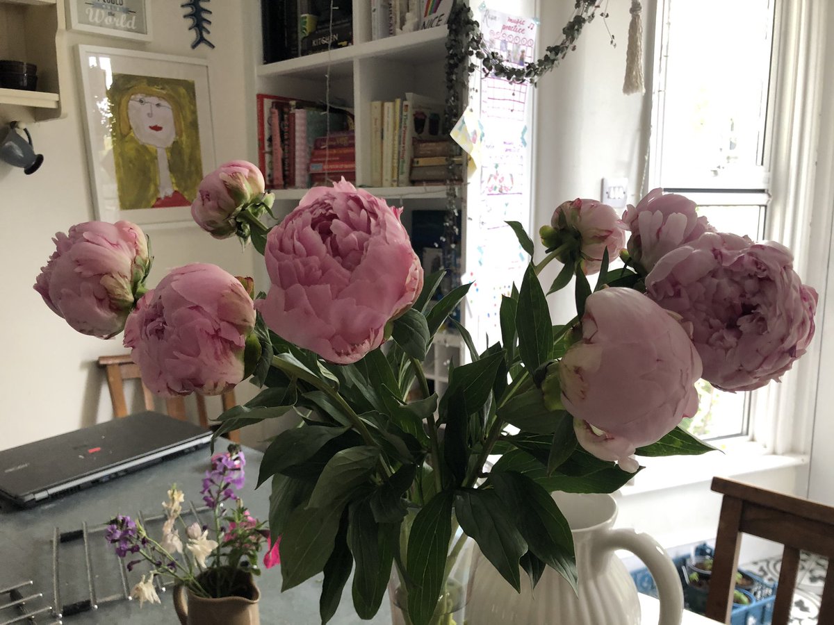 Rachel Tripp tweet media