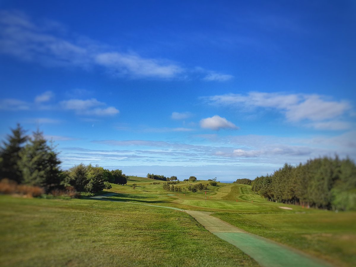 Darren Shorrock tweet media