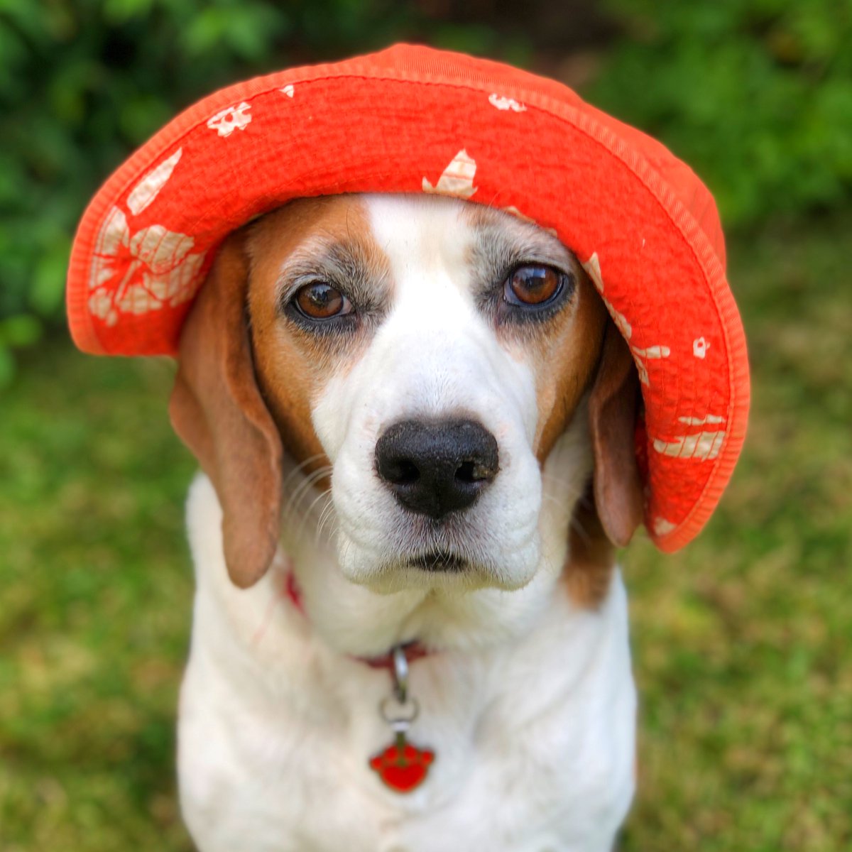 Ruby Garamond tweet media