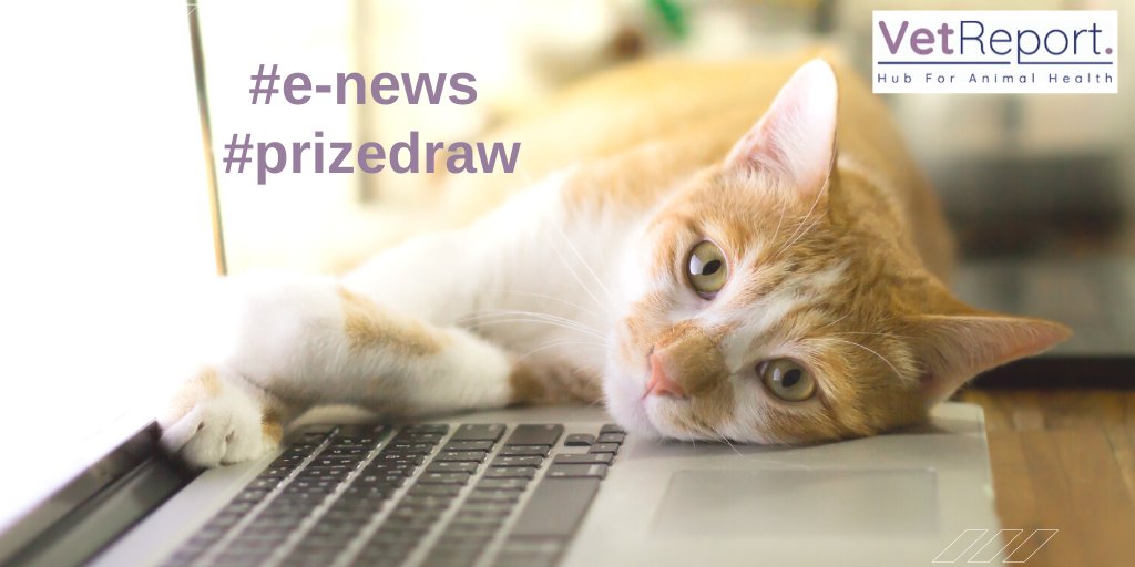 vetreport's tweet photo. Chance to #win a case of wine from Vet Report - the #animalhealth news site run by #vets. To enter, sign up for our e-news by visiting https://t.co/OdhmxZmQTe and completing the form on the homepage. #Veterinary #VetNews #VetReport #PlanetRVN https://t.co/EX8q3KKjf8
