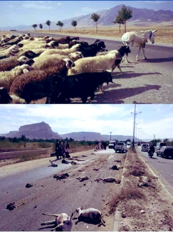 reshma_alam7's tweet image. When you choose Wrong Leader !