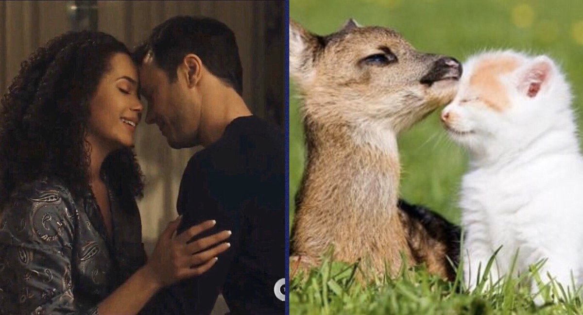 HarryTheAnimal's tweet photo. My deer...
 #charmed https://t.co/tphC3KizOJ