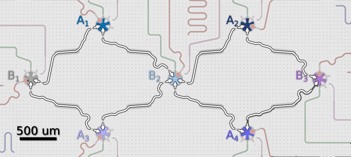 AndreasAtETH's tweet photo. Our @qudev lab @ETH_physics @ETH_en has made available @arxiv its experimental work on the coherent errors induced by spectator #qubits on two-qubit #gate #fidelity as limited by #dispersive couplings to neighboring qubits not involved in the gate itself.
https://t.co/SesVuh9RBU https://t.co/fwHukhYkjJ